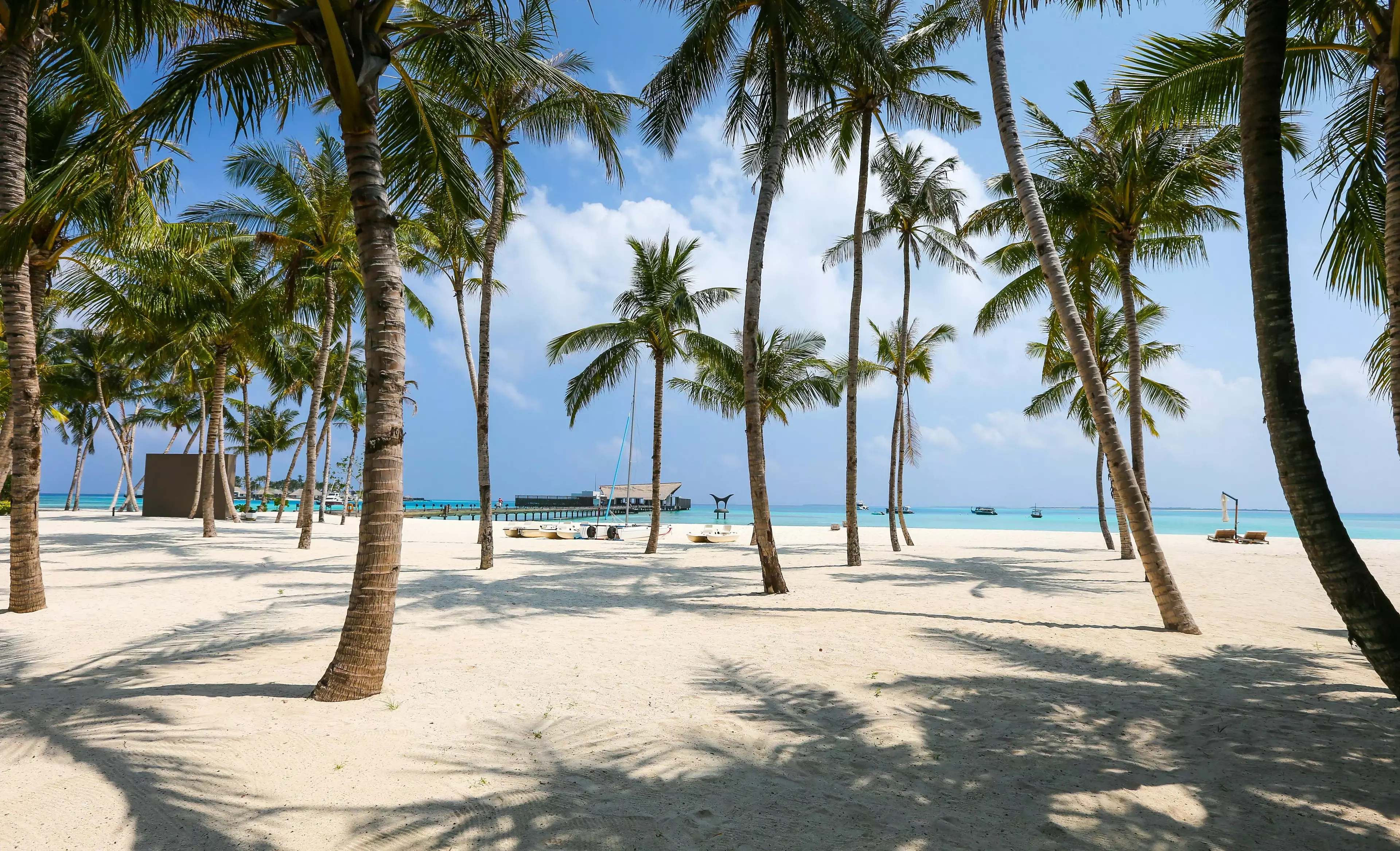 South Florida Beach